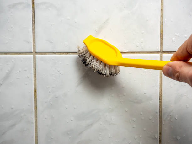 Home Mold Removal in Castroville, TX