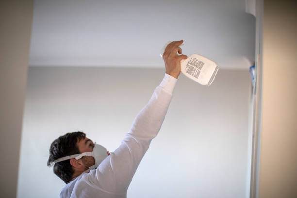 Best Toxic Mold Removal  in Castroville, TX