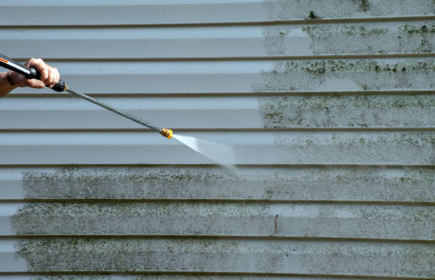 Professional Mold Removal in Castroville, TX