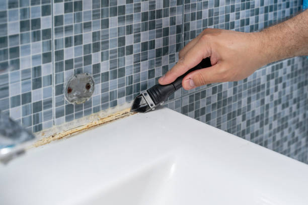 Best Mold Cleaning Services  in Castroville, TX